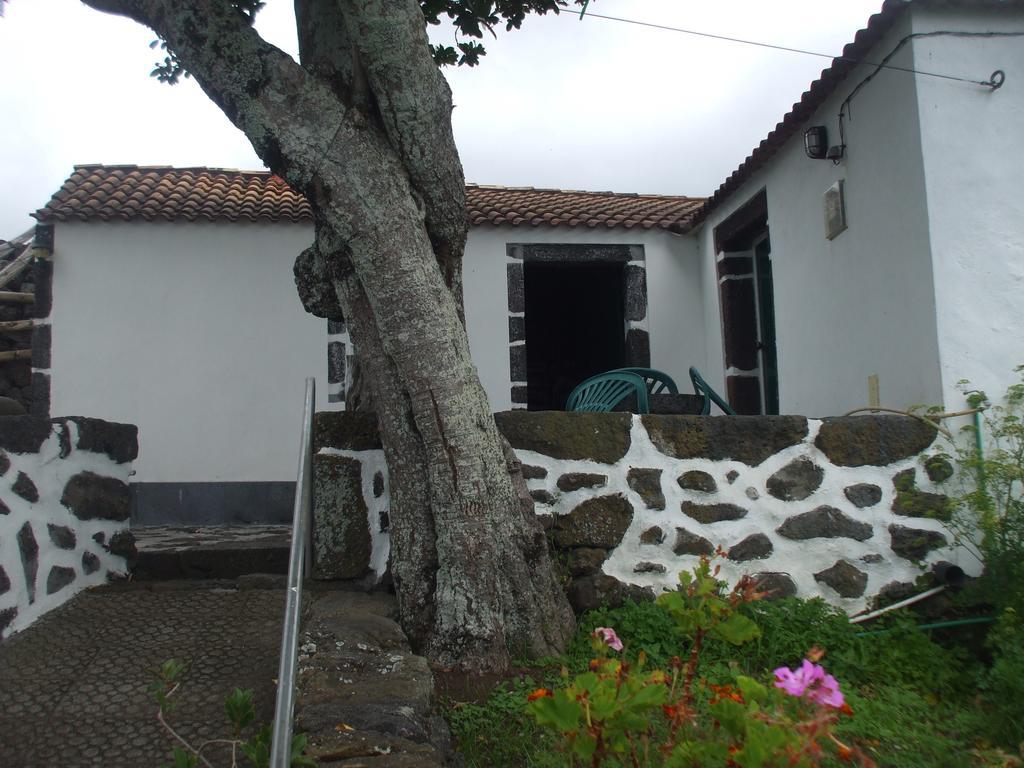 Adega Do Batista Villa Calheta  Rom bilde